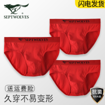Seven wolves underwear mens briefs pure cotton antibacterial big Red This year of life the Year of the Ox wedding gift summer shorts
