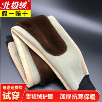Arctic suede cashmere pants male thickened warm down protection waist and kneecap female body mid-aged tympanty pants north wool pants