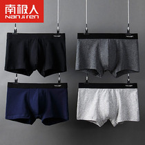 Antarctic men mens underwear boxer students cotton breathable summer thin pants cute boxer shorts head