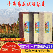  3 kg pack of three-color quinoa Qinghai first-class resveratrol rice farm coarse grain five-grain Li Mai baby pregnant woman porridge