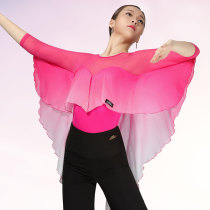 Dan Baoluo Womens Modern Dance Sleeves One-Body Clothes National Standard Dance Ballroom Dance Practice Fashion New Dance Clothes