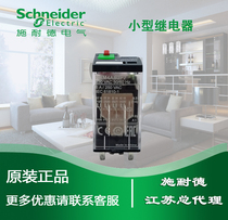 Schneider plug-in intermediate relay AC48V 2 open 2 closed 8 feet small RXM2AB2E7