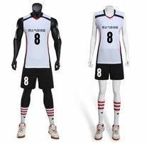 New mens and womens volleyball uniform short sleeve quick-drying breathable female volleyball team uniform volleyball jersey custom printing number