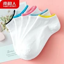 Antarctic womens socks South African cotton socks summer thin cute shallow low-mouth boat socks white student socks