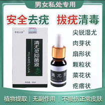 Sharp wet especially wart male and female private parts special podophyllotoxin tincture HPV disease coronary groove Pearl granules vaginal anus