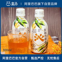 Box of Ma Maogen bamboo cane water fruit and vegetable juice drink Roots plant 300ml * 15 bottles of thirst-quenching refreshing fruit flavor drink