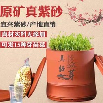  (Sweet and crispy good buds)Really good buds bean sprout tank Purple sand hair bean sprout tank machine household automatic large capacity