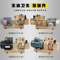 Oil-free dry rotary vane vacuum pump instead of good Liwang vacuum pump High vacuum electric air pump accessories for industrial use