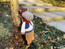 Pony boy~clothes and plain body stick needle wool knitting doll illustration tutorial explanation