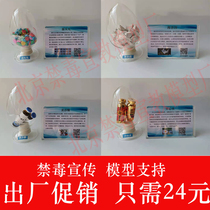 Simulation drug control education sample model publicity activity base school government full set of varieties free collocation