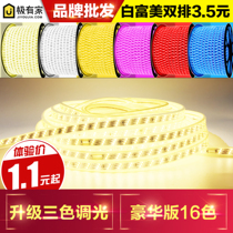 LED light with super bright 5050 light with 3014 double row 2835 light bar ceiling living room colorful remote control light belt waterproof