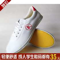 Tai Chi shoes canvas practice beef tendons for men and women double star morning shoes practice training shoes group performance