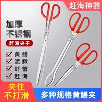 Special thickened lengthened catch loach crab pliers anti-skidding sea tool for clip stainless steel in yellow eel clip