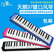 Swan mouth organ 37 keys 32 keys students use childrens classroom mouth organ adult teaching performance oral piano recommended