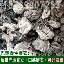 New stock Baton mushrooms 100g Xinjiang Batchu wild mushrooms dried edible mushrooms Huyang linen wrinkled and goat-bellied 