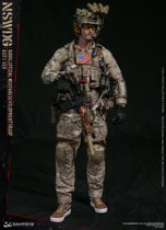 DAMTOYS DAM 78065 1 6 Navy Special Operations Development Brigade seal AOR1 color spot
