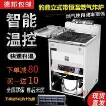 Leopard Dingli type gas electric electric chicken Fryer Fryer constant temperature gas Fryer set up spatel machine frying machine