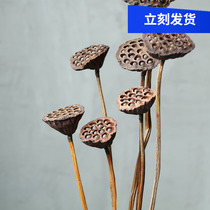 (Real rod showerhead)Real rod with lotus seeds dried showerhead original ecological landing Real showerhead big showerhead shooting props