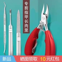 Eagle-bout nail clippers set special shears thick hard nail clippers pedicure pedicure single dead skin large toenail