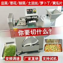 Double-head vegetable cutter Commercial multifunctional automatic canteen with radish leek potato shredding cutting machine