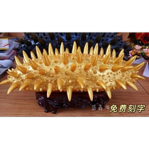 50cm sea cucumber model sea cucumber model simulation large sea cucumber office ornaments cabinet decoration