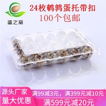 24 plastic quail egg holder with buckle disposable quail egg box gift box packaging transparent quail egg drag