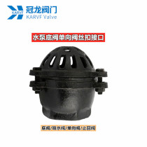 Pumping pump bottom valve internal thread threaded suction valve cast iron check valve DN25 32 40 50 65 80 100