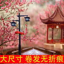 Ancient wind anchor background cloth wall decoration live background cloth 3d stereo live broadcast room anchor Net red Photo area layout background wall photography trembles HD wallpaper picture curtain can be customized