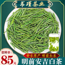 2021 New Tea Leaf Mingqian Pai Anji White Tea Spring Tea Bulk New Tea Buds Green Tea Strong Flavor and Bubble Resistance 250g