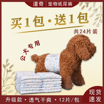 Dog diapers for male dog Teddy diapers male dog politely with surgical clothes