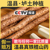 Baotu iron stick yam authentic Henan Jiaozuo Wen County iron Huai Shan Huai Yam fresh 5 pounds of premium whole box