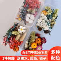 DIY bridal headdress wreath photo frame fan floating flower Dried flower material package Eternal flower children handmade
