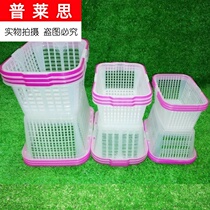  Strawberry basket Small blue rectangular mulberry plastic basket Loquat mushroom mulberry lid Portable basket bayberry