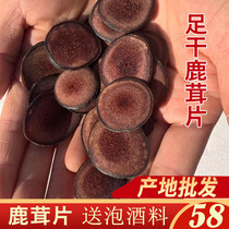 Antler Whole Branches Jilin Plum Blossom Antler Slice Non Fresh Antler Dry Antler Sliced Bubble Wine Saucepan Antler Slice Dry