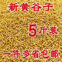 Parrot food Shelled yellow millet Bird food Bird food feed Tiger skin Peony Xuanfeng Hengban shelled millet millet