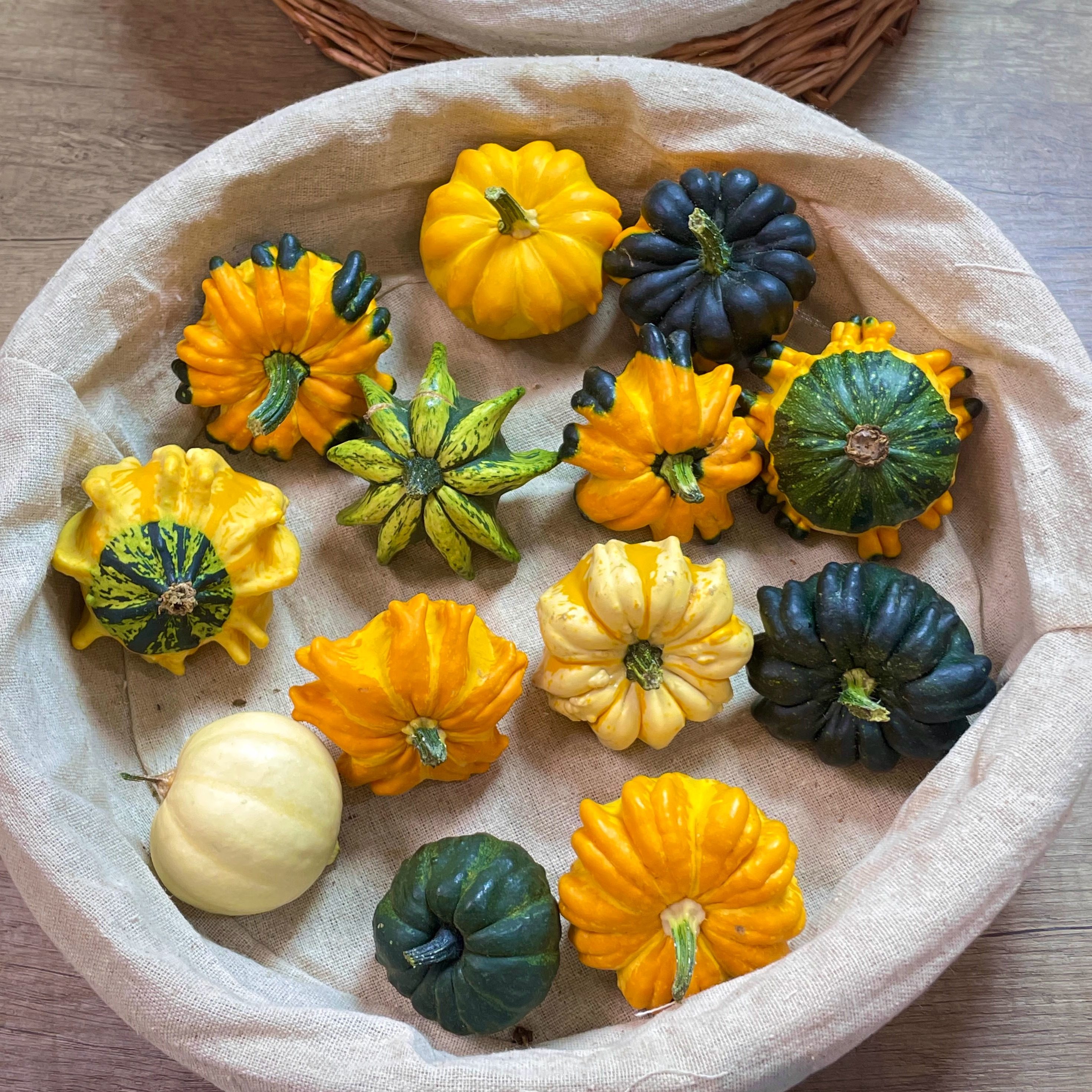 墨西哥文玩葫芦-墨西哥文玩葫芦促销价格、墨西哥文玩葫芦品牌- 淘宝