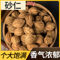 Xun Baicao fragrant Sand Ren Sha Ren spice stewed hot pot base seasoning 100g