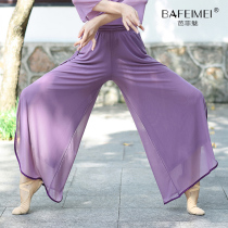 Chinese style classical dance pants practice suit 2020 new mesh pants group performance clothes elegant wide-leg yarn pants