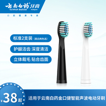 Yunnan Baiyao Jin Koujian Smart Sonic Electric Toothbrush Replacement Brush Head