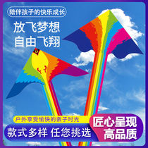New Kite Adult Dedicated Net Red Large Stereo 2021 New High-end Triangle Kite Children Handheld