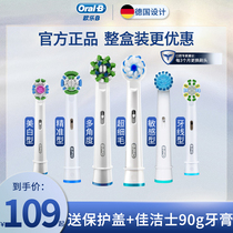 Braun Oral-B European Le B electric toothbrush head replacement universal fit adult 2D 3D Ole B brush head whole box