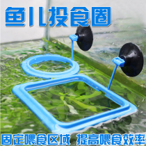 Feeder feeding ring Peacock Red Arrow goldfish Mary Swallow Fish three lakes feeding ring fish bowl fish feed feeding