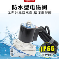 304 water valve stainless steel waterproof solenoid valve 220V 12v electric control pipeline valve normally closed water valve oil valve