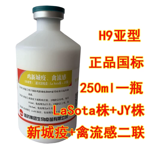 Xinliu два саженца с маслом Lianqi Bird Blot Fluy