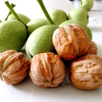 Jixian to green skin fresh thin skin walnut old tree wild wet walnut natural pregnant woman nut non-Xinjiang Walnut