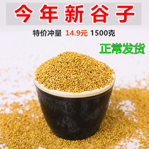 New yellow millet with shell millet tiger skin Peony Xuanfeng small and medium-sized parrot bird food bird food bird feed 3 pounds