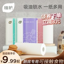 Plant Protection Kitchen Paper Thickened Disposable Wipe Paper Roll Paper Suction Oil Paper Suction Fryer Kitchen Special Paper Towels