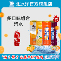 (arctic ocean orange plum passion fruit flavor 330ml) soda juice soda carbonated beverage