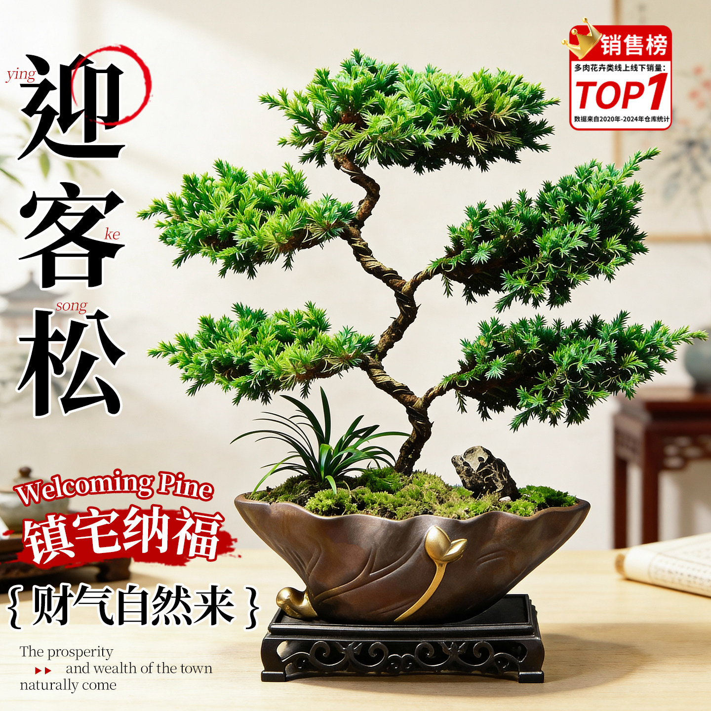 迎客松盆栽真树-迎客松盆栽真树促销价格、迎客松盆栽真树品牌- 淘宝