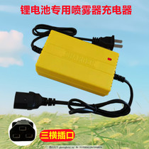 Electric sprayer charger 12V lithium battery agricultural sprayer 12 6V lithium battery charger three horizontal hole